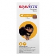 Say Bye to Fleas! Bravecto for Dogs on Sale @ BestVetCare